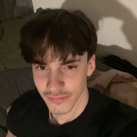 alfieb