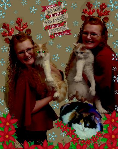 Cindy_1980 is Single in MOUNT CLEMENS, Michigan, 3