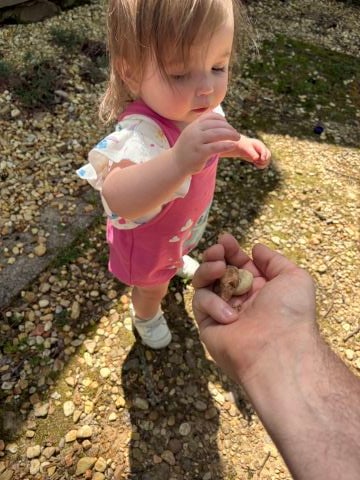 Alexw7191 is Single in PONTOTOC, Mississippi, 3