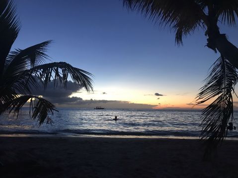 Irakinpalmadensares