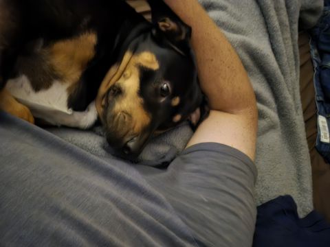 Marc09 is Single in AMITE, Louisiana, 2