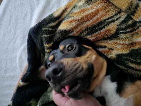 Marc09 is Single in AMITE, Louisiana, 4