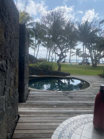 caro081 is Single in tamarin, Black River, 3