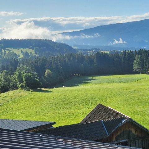 Lachie1212 is Single in Palmwoods, Queensland, 5