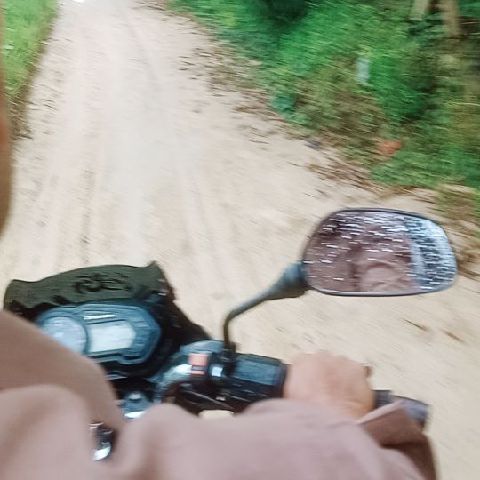 MdMamon