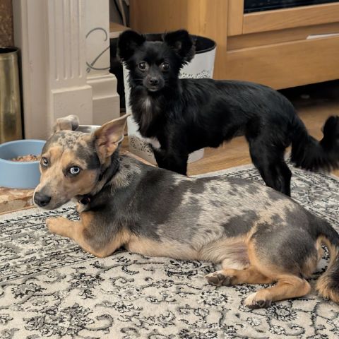 andrew197432 is Single in Liverpool, England, 3