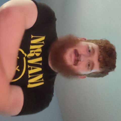 Davidrex280