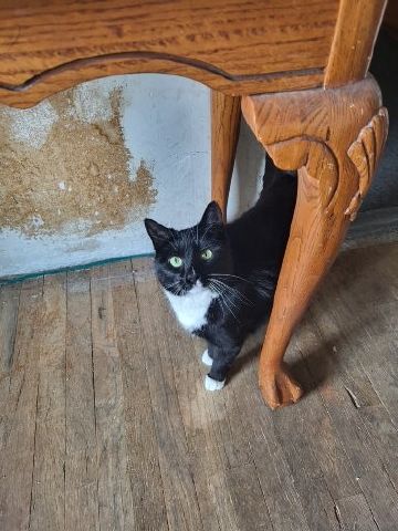 IdahoBronco is Single in POCATELLO, Idaho, 3