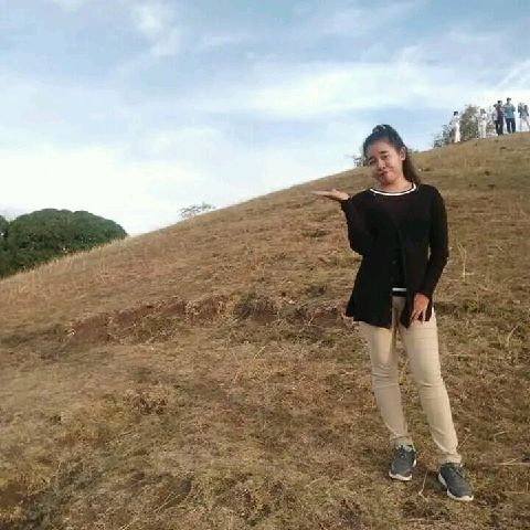 sophialou