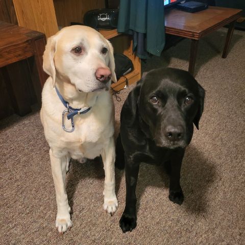 Scott4Christ69 is Single in GREENE, Iowa, 4