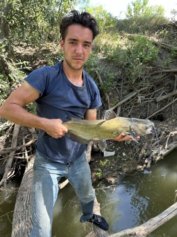 Matthew581 is Single in Atascosa, Texas, 5