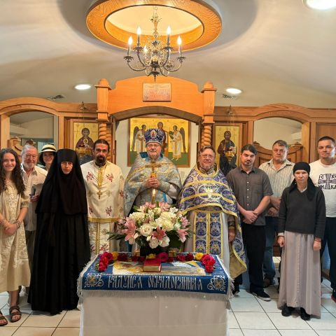 AleksanderS is Single in Cape Coral, Florida, 4