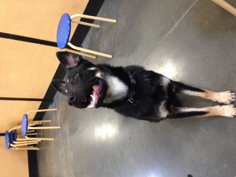 Carol0329 is Single in Everett, Washington, 3