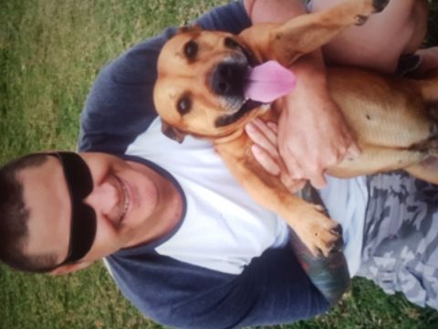 Damon2025 is Single in Townsville, Queensland, 2