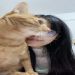 Tinaxiaoyang is Single in Shenzhen, Guangdong, 1