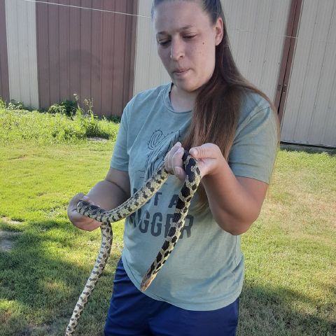 Alicia826 is Single in Baraboo, Wisconsin, 3