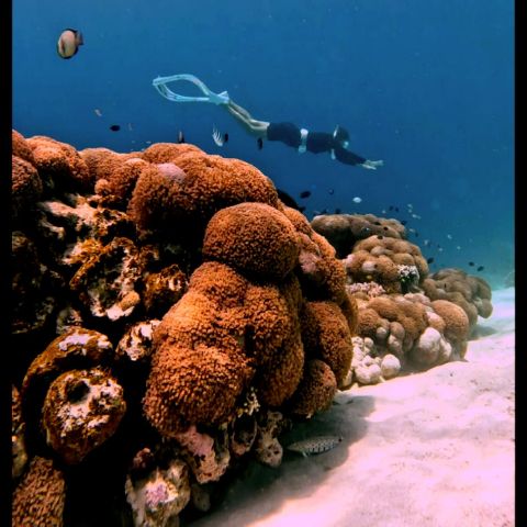 Annelis11 is Single in Sleman, Yogyakarta (Jogjakarta), 2