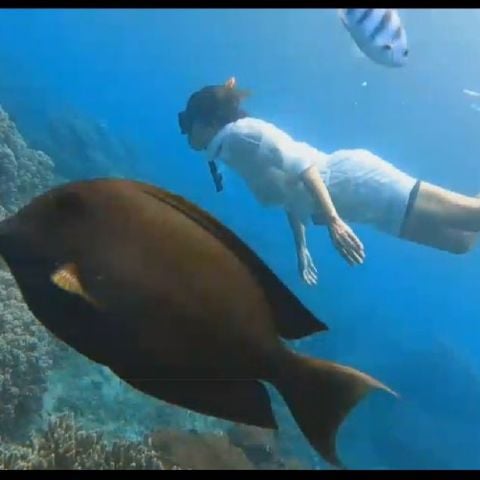 Annelis11 is Single in Sleman, Yogyakarta (Jogjakarta), 3