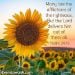 Galaxypearl83 is Single in Greenwood, Indiana, 3