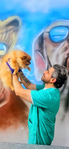 Drbero2375