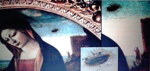 WHITEORB5 is Single in KEY BISCAYNE, Florida, 5