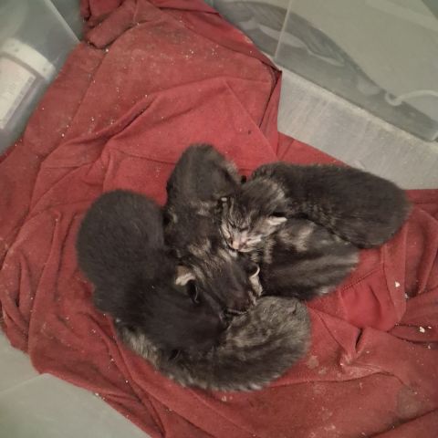 Craiger is Single in Denver, Colorado, 2