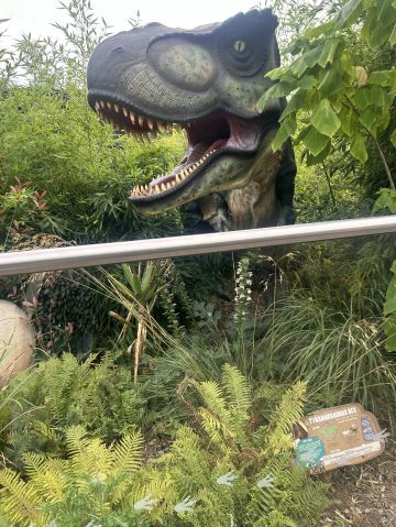 soks79 is Single in Colachester, England, 2