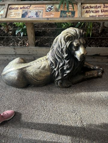 soks79 is Single in Colachester, England, 3