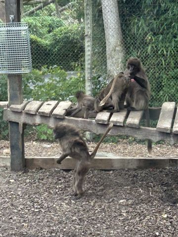 soks79 is Single in Colachester, England, 4