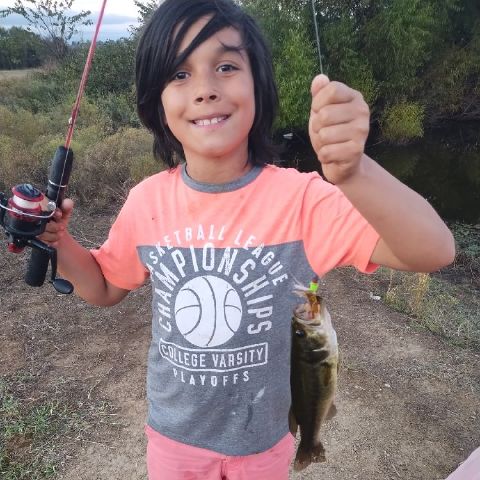 Shadesofscripture is Single in Mcalester, Oklahoma, 3