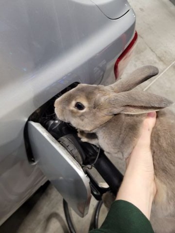 WolfyNinja is Single in POST FALLS, Idaho, 3