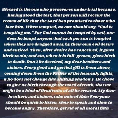 ASAPmatir is Single in Bellevue, Washington, 2