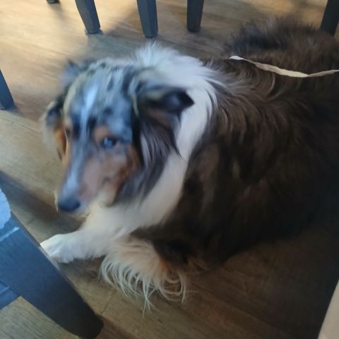 Joshua128 is Single in Tucson, Arizona, 4