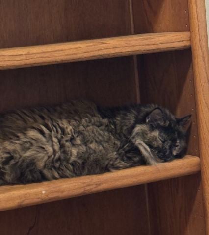 Beki_Jo is Single in Eagle River, Alaska, 5