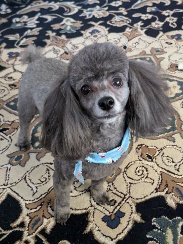 Baha1301 is Single in TATUM, Texas, 5