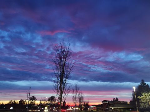 Dheather is Single in MCMINNVILLE, Oregon, 2