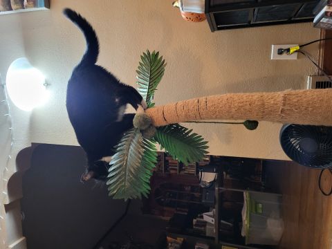 Bookwyrm14 is Single in SIOUX FALLS, South Dakota, 8