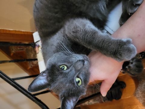 Bookwyrm14 is Single in SIOUX FALLS, South Dakota, 9