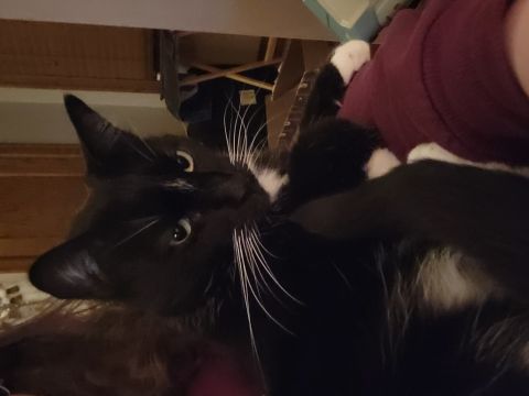 Bookwyrm14 is Single in SIOUX FALLS, South Dakota, 10