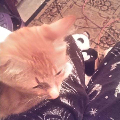 Sydney64 is Single in Willow, Alaska, 2