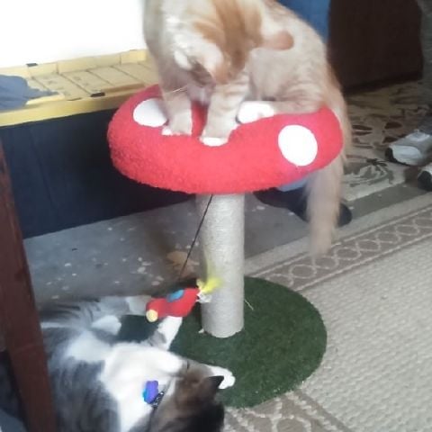 Sydney64 is Single in Willow, Alaska, 3