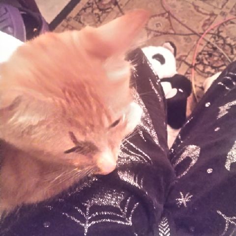 Sydney64 is Single in Willow, Alaska, 4