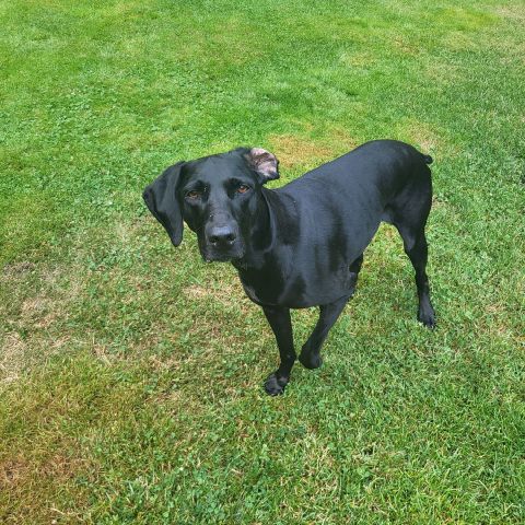 Kaiya7 is Single in Cheney, Washington, 6