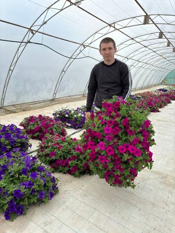 Emil_Metodiev is Single in Plovdiv, Plovdiv, 4