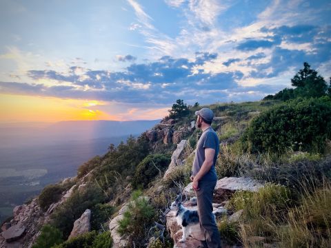 WGN23 is Single in PHOENIX, Arizona, 2