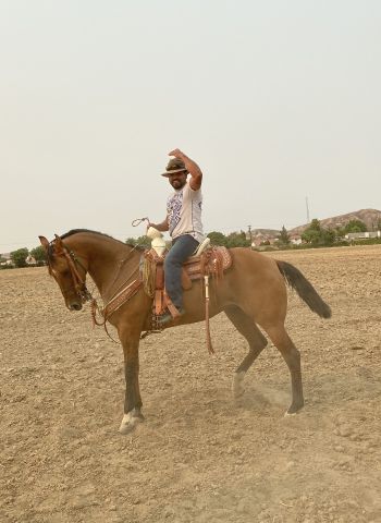 JuanAJF is Single in west valley city, Utah, 10