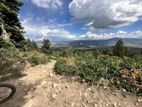 JuanAJF is Single in west valley city, Utah, 14