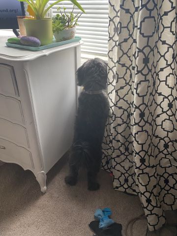 shua_keels is Single in Columbia, South Carolina, 6