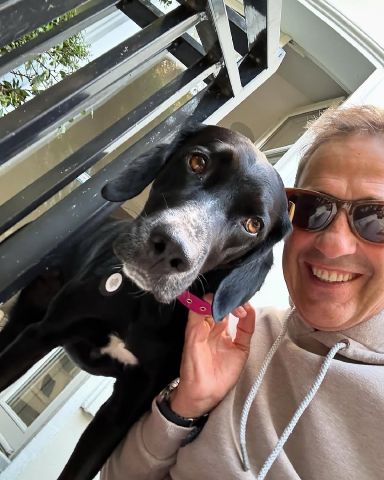 PatrickLaurent is Single in Carle Place, New York, 1