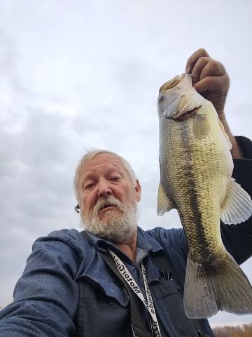 dchally01 is Single in SUNRISE BEACH, Missouri, 4